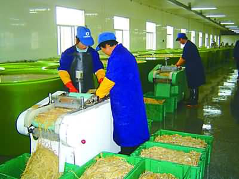 红牡丹农产品选购全攻略：初识优质果实