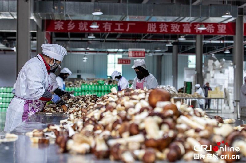 呼玛县农产品加工：传统与创新交织的新篇章