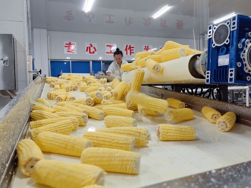 红牡丹农产品:现代农业的典范